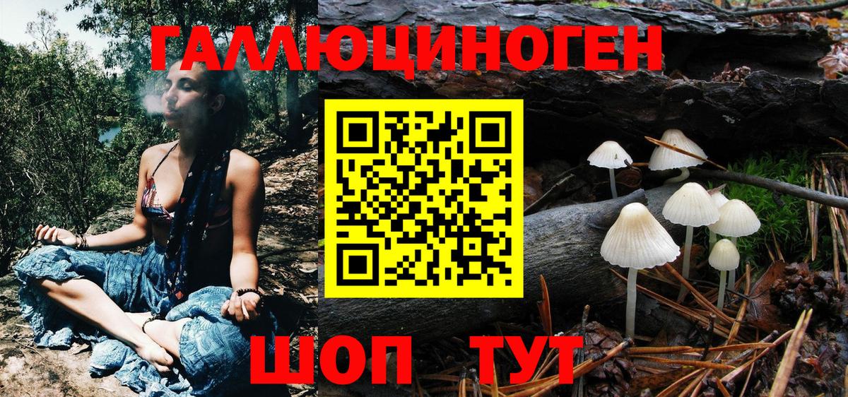 Галлюциногенные грибы ЛСД Кольчугино